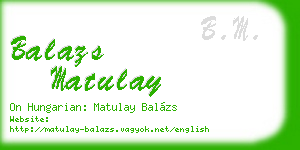 balazs matulay business card
